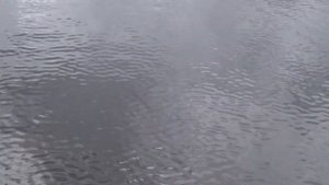 Вуокса - Вирта. Рыбалка на Балахановском озере.