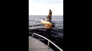 Брейтово. Рыбинское водохранилище