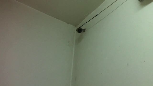 супер туалет с камерой смотреть онлайн