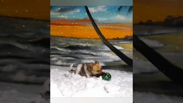 Песня dance monkey смотреть онлайн