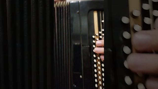 ЗОРЬКА АЛАЯ на баяне  разбор