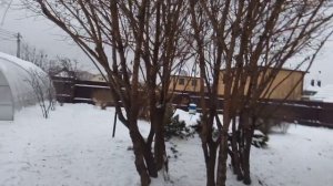 3 колёсный самодельный грузовой велосипед