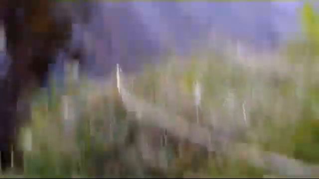 10.07.18//15 ЧАСТЬ ВЛОГ:ЕДЕМ НА ПРИРОДУ смотреть онлайн