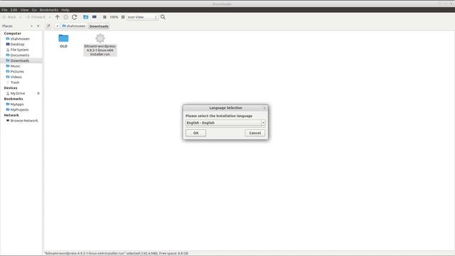 How to install WordPress on Your Computer - Hindi/Urdu Tutorial смотреть онлайн