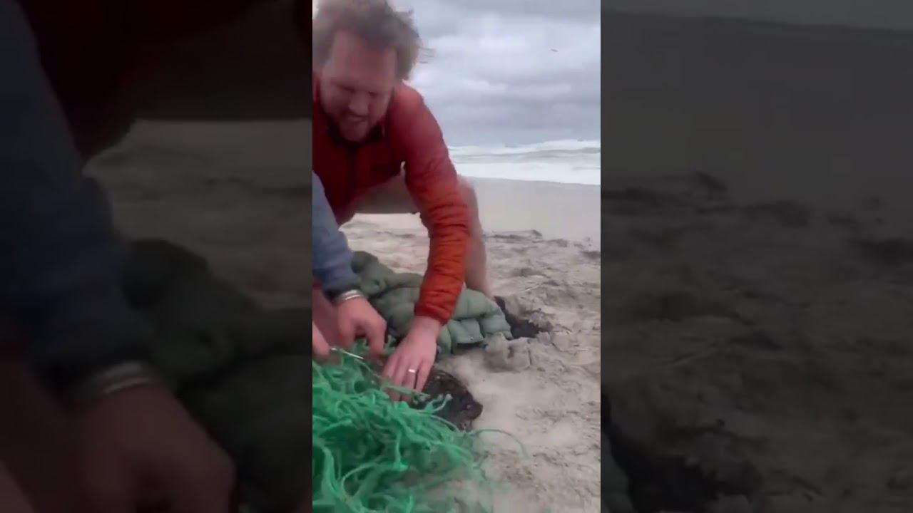 Чудо спасение, чудо людьми смотреть онлайн