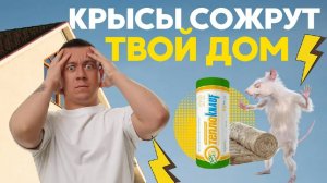 Грызуны не страшны! Утеплитель дома Knauf _ Состав, экологичность, усадка, особенности