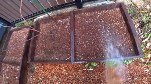 Наш участок и семейный ужин в Корее / KOREA VLOG