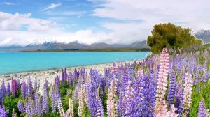 Новый телевизор Sony BRAVIA серии AG9 4K