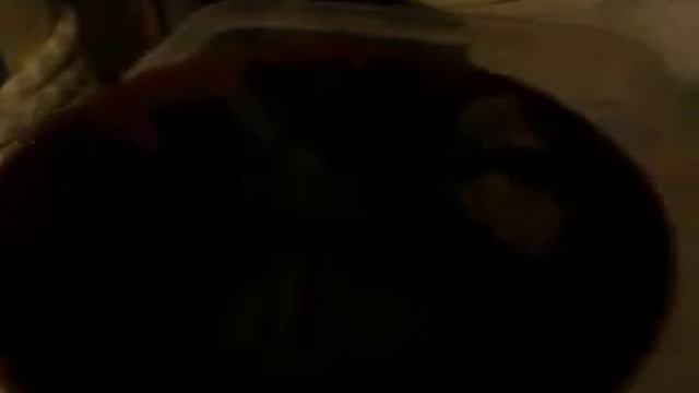 Венерина мухоловка_1.AVI смотреть онлайн