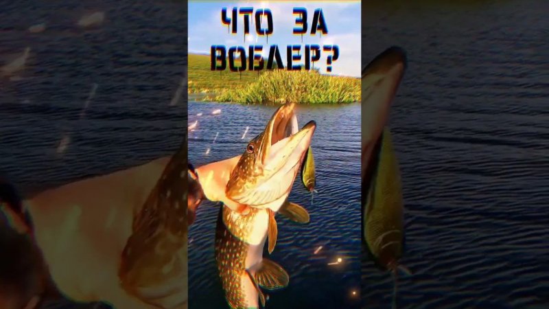 ЗАЦЕП ОЖИЛ с этой ПРИМАНКОЙ!!!  #рыбалка #ловлящуки #fishing