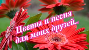 Для друзей.....mp4
