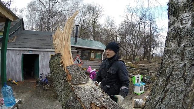 Распилил берёзу. смотреть онлайн