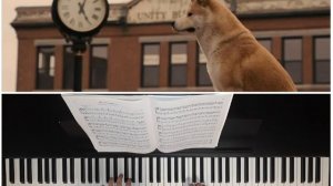Музыка из к/ф "Хатико" "ДО СВИДАНИЯ" Я.Качмарек  #хатико #pianocover #music #cover #досвидания #пиа
