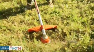 Обзор Коса электрическая DABC 1400E DAEWOO