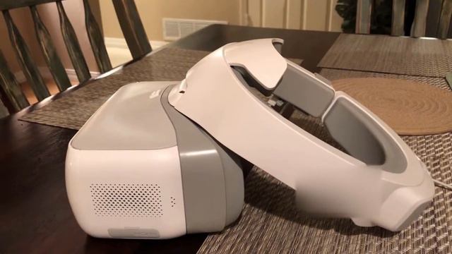 DJI Goggles and DJI Spark