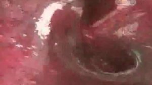 Как сделать лак для ногтей