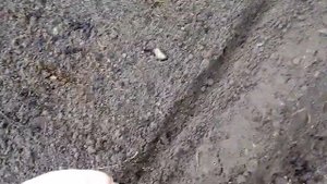 Готовим грядку под посадку моркови, редиски, лука севок и свеклы