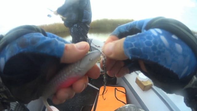 Веселовское водохранилище,балки