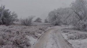 Зимняя дорога в сосны. Зимние пейзажи в 4к 60fps 2160р. Зимние футажи. Релакс-видео.