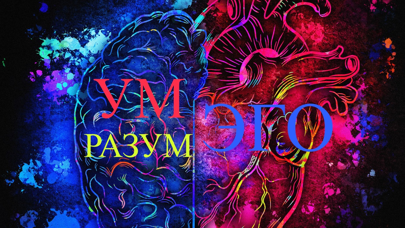 Откуда рождаются противоречия? Что такое ум, разум и эго? смотреть онлайн