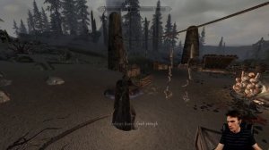 !shirt | Skyrim (PC) !mods | Level 44+ Wood Elf Theif