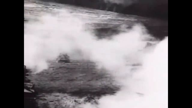 Укротители тигров смотреть онлайн