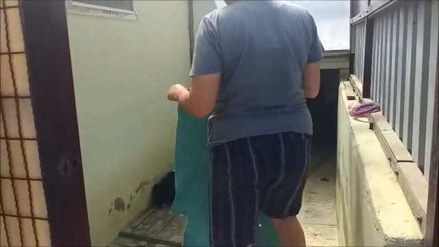 Вкусная каша из лапши на курином бульоне Кусачий и орущий щенок стал спокойный и тихий смотреть онлайн