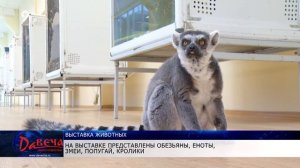 В Кирове открылась выставка животных