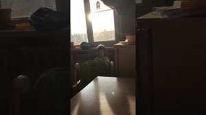 Пойдем попу мыть?