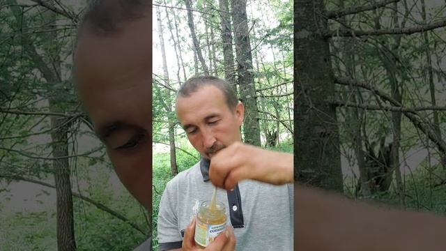 Очищение организма мёд и живица пихтовая. смотреть онлайн