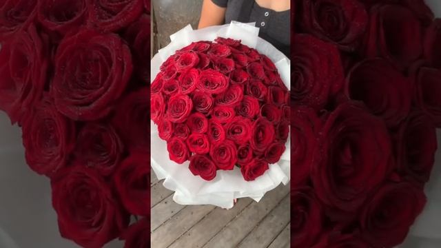 51 Red Naomi ❤️  #rose #roses #redrose #nature