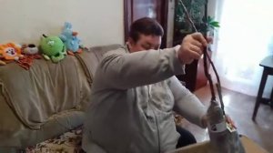 Отзыв Агромаркет (відгук) Яблоня "Одиссо"