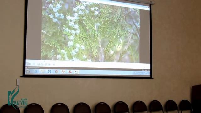 ДХШ «Весна» Проведение пленера на озере Иссык-Куль Киргизия смотреть онлайн