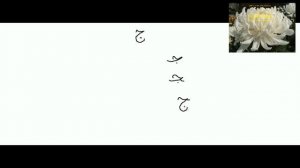 5 буква   Джим   арабского алфавита.