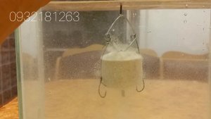 Технопланктон на толстолоба , фирма СК.