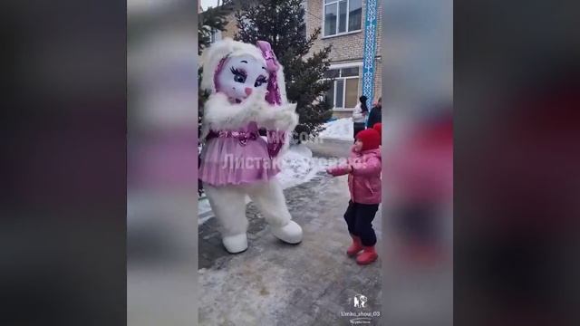 Отличное поздравление [Юмор]