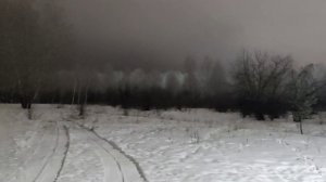 прогулка в зимнем лесу