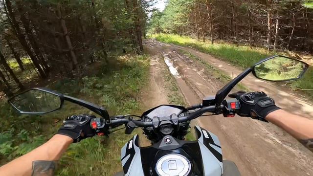 Fuego tekken 250 3.0 .2024