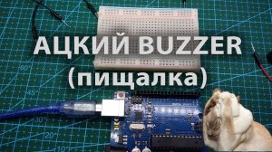 Вынос мозга!!! АЦКИЙ BUZZER - омерзительная пищалка на Arduino Uno