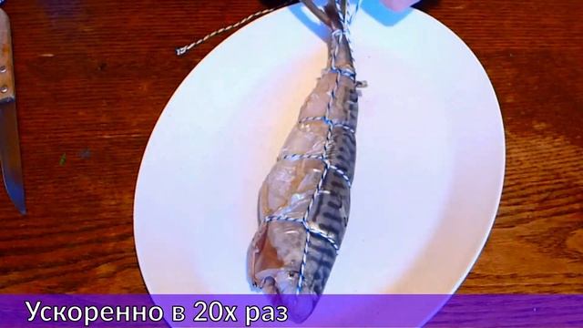 Коптим скумбрию дома в коробке