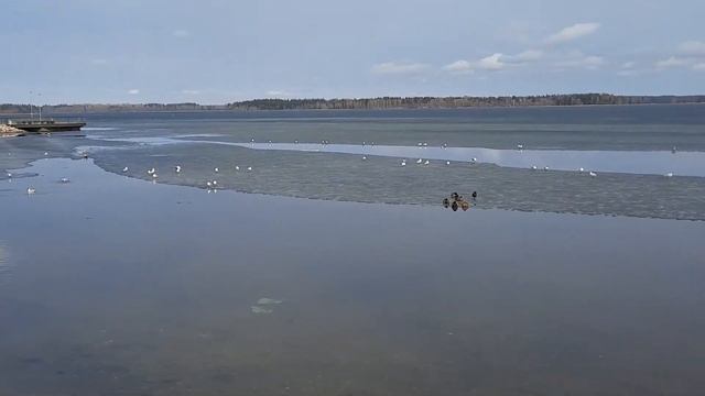 озеро Валдай