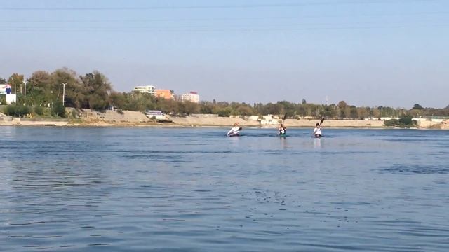 14 ноября 2018 г. смотреть онлайн