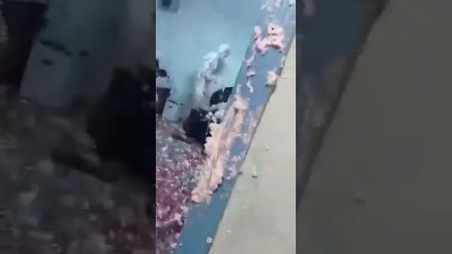 прикол с монтажной пеной смотреть онлайн