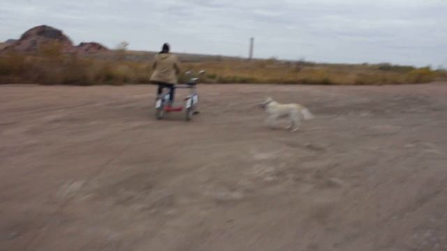 Веломобиль 2  Зоське уже нравится