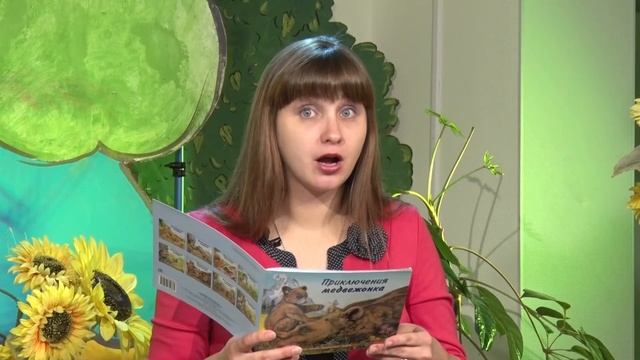 Сказки - Приключения медвежонка Приключения львёнка смотреть онлайн