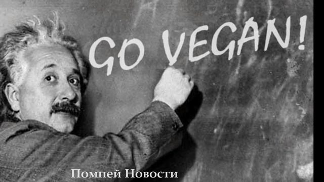 Коррида. смотреть онлайн