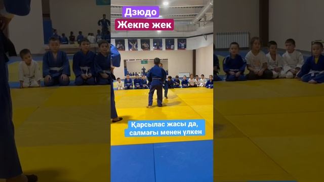 #judo #тренировка #judounicorn #judokids #judoka #борьба #sport #дзюдо #ipponグランプリ