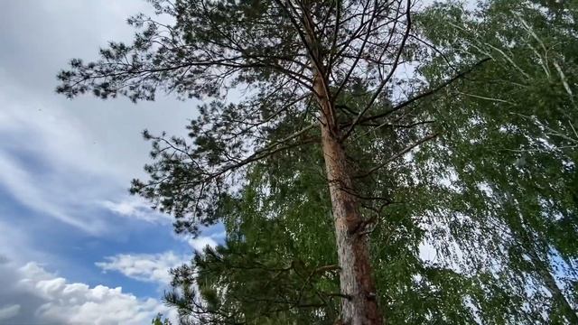 Самая дорогая Дача в Тюмени!