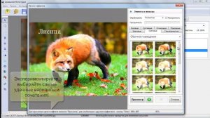 ДОМАШНЯЯ ФОТОСТУДИЯ. СКАЧАТЬ БЕСПЛАТНО