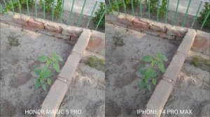 Honor Magic 5 Pro Vs iPhone 14 Pro Max Camera Test Comparison